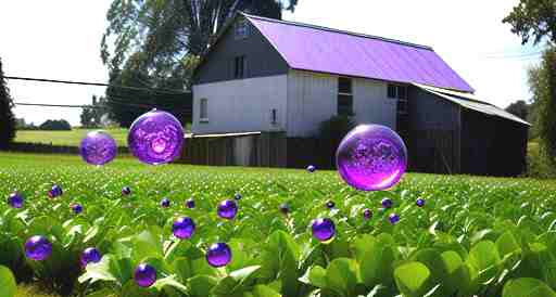 Family-Owned Farm